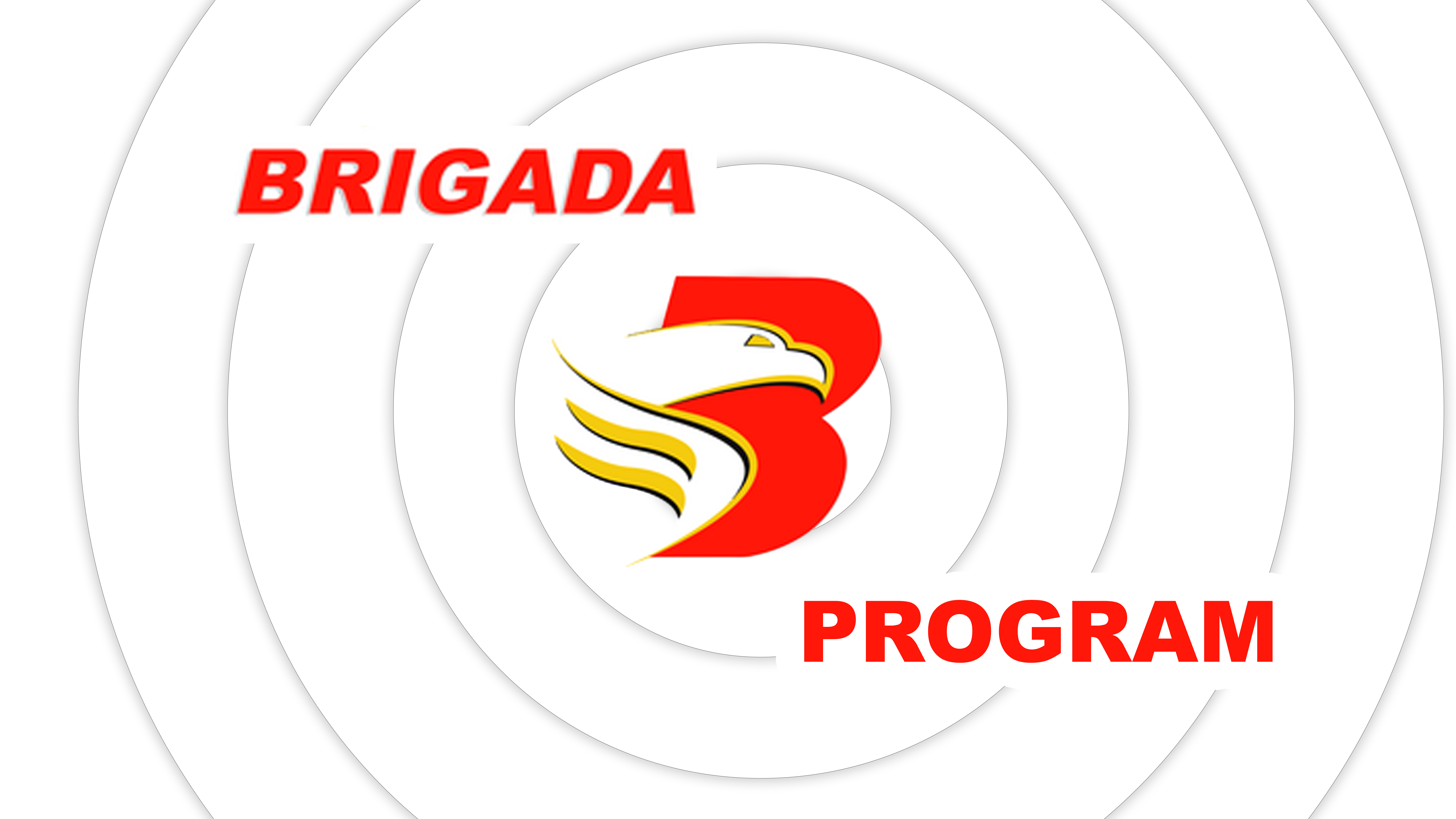 BRIGADA PROGRAM